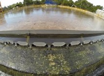 Insolite : Portland tire la chasse Insolite : Portland tire la chasse