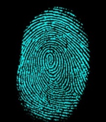 Les empreintes digitales, des preuves pas si fiables pour la police scientifique Les empreintes digitales, des preuves pas si fiables pour la police scientifique