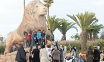 De nouvelles espèces s’invitent au jardin zoologique de Rabat