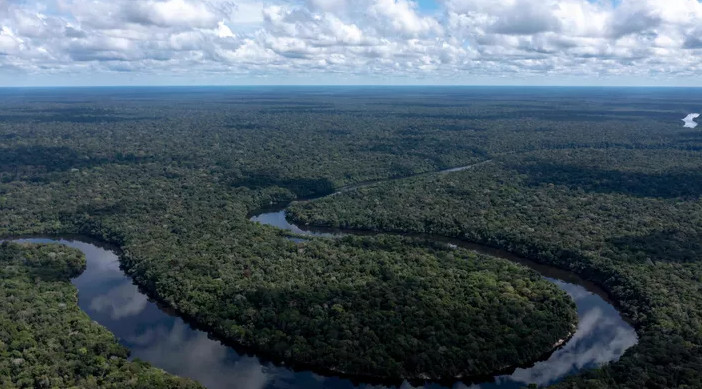 Hausse de la déforestation des écosystèmes au Brésil