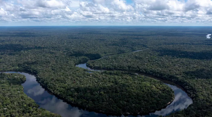 Hausse de la déforestation des écosystèmes au Brésil Hausse de la déforestation des écosystèmes au Brésil