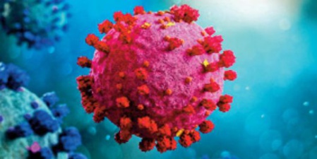 Covid 19 : L'état d'urgence sanitaire prolongé jusqu’au 30 septembre 2022 Covid 19 : L'état d'urgence sanitaire prolongé jusqu’au 30 septembre 2022