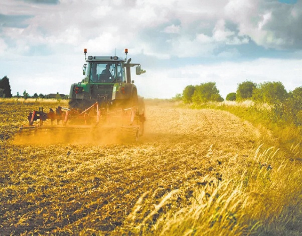 La valeur ajoutée agricole prévisionnelle devrait enregistrer une baisse de 14%