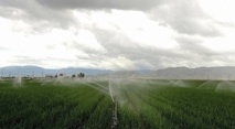 La surexploitation de l’eau, facteur de risque sismique en Californie La surexploitation de l’eau, facteur de risque sismique en Californie