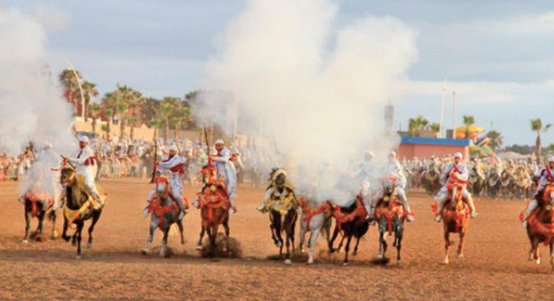 Entre les Doukkalis et le cheval, un lien particulier profondément enraciné dans l'histoire