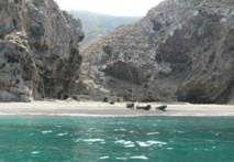 Le parc national d’Al Hoceima subit des pressions humaines Le parc national d’Al Hoceima subit des pressions humaines