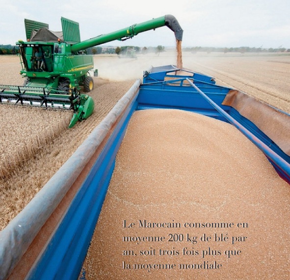 La guerre de blé n’aura pas lieu