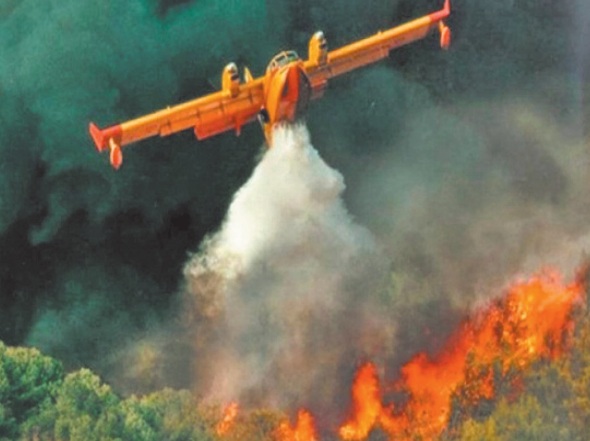 Incendie de la forêt “KodiatTifour” près de M'diq: Ouverture d'une enquête judiciaire approfondie pour déterminer les circonstances et les coupables