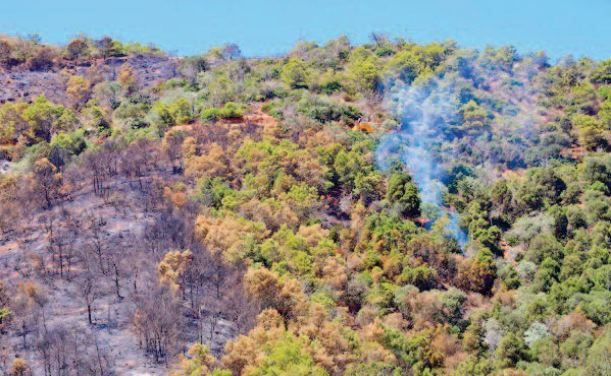 L’incendie de la forêt "Kodiat Tifour" presque entièrement circonscrit