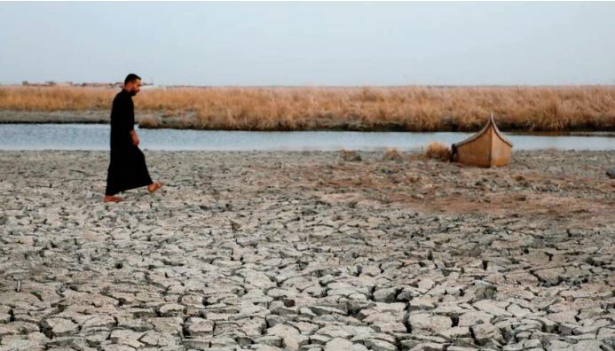 En Irak, la sécheresse ravage aussi les marais mésopotamiens du mythique jardin d'Eden