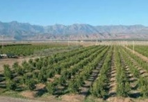 Mobilisation  de plus de 1900 hectares pour les petits projets agricoles