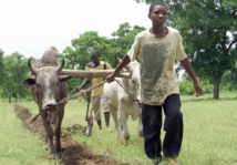 Résilience et sécurité alimentaire font la paire Résilience et sécurité alimentaire font la paire