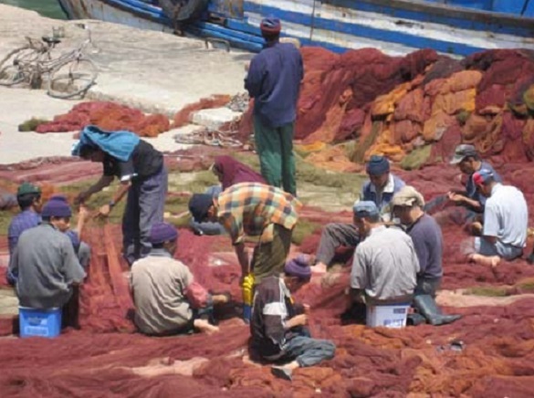 Les professionnels de la pêche voient rouge