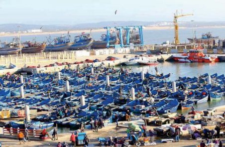 Les débarquements de la pêche côtière et artisanale dans le port d'Essaouira en hausse de 53% à fin juillet Les débarquements de la pêche côtière et artisanale dans le port d'Essaouira en hausse de 53% à fin juillet