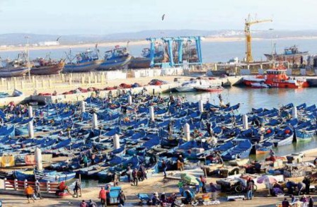 Les débarquements de la pêche côtière et artisanale dans le port d'Essaouira en hausse de 53% à fin juillet