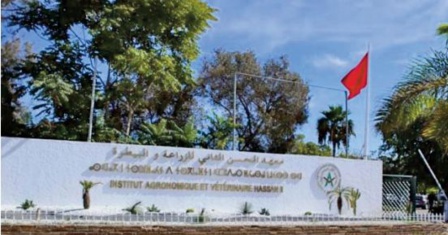 Série de mesures pour la continuité du parcours universitaire des étudiants marocains de retour d'Ukraine Série de mesures pour la continuité du parcours universitaire des étudiants marocains de retour d'Ukraine