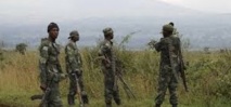 Nouveaux tirs d'armes à la frontière entre le Rwanda et la RDC