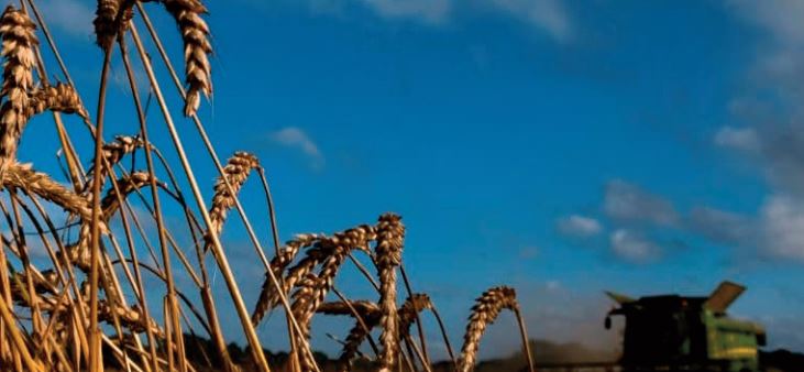 Les prix des produits alimentaires poursuivent leur trend baissier à l’échelle mondiale