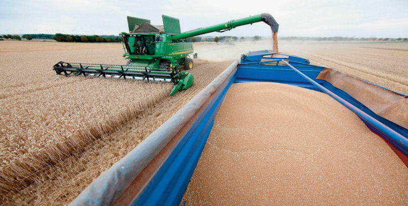 Révision à la baisse de l’utilisation et des stocks de céréales en 2022-2023