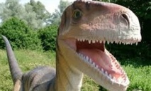 Les dinosaures, des animaux à sang tiède Les dinosaures, des animaux à sang tiède