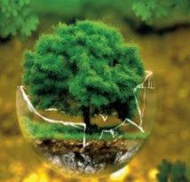 Ecosystèmes et environnement sain indispensables à la pleine jouissance d' un large éventail de droits de l'Homme Ecosystèmes et environnement sain indispensables à la pleine jouissance d' un large éventail de droits de l'Homme