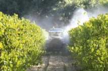 Des liens entre les pesticides et l'autisme Des liens entre les pesticides et l'autisme