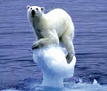 Les coraux face au réchauffement climatique Les coraux face au réchauffement climatique