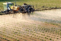 Les pesticides menacent les oiseaux et les vers de terre autant que les abeilles Les pesticides menacent les oiseaux et les vers de terre autant que les abeilles