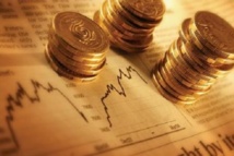 Les investissements directs  étrangers plient l’échine