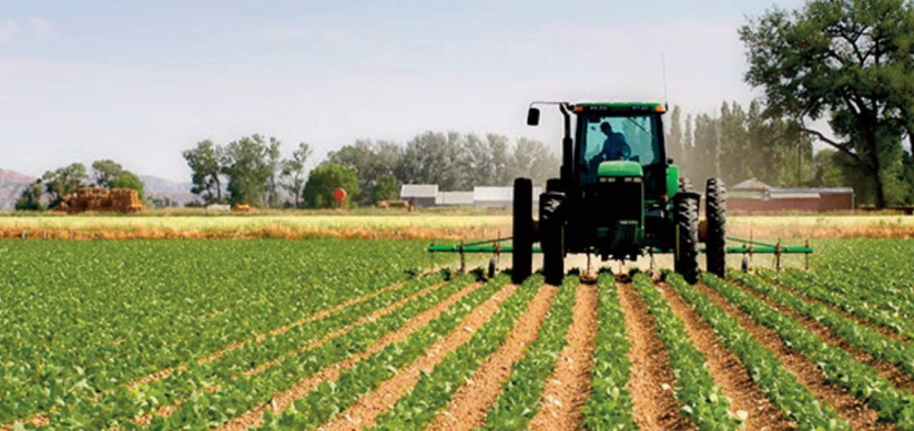 Repli des activités agricoles et hors agriculture au troisième trimestre