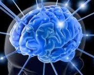 Des scientifiques ont découvert le bouton on/off de la conscience humaine Des scientifiques ont découvert le bouton on/off de la conscience humaine