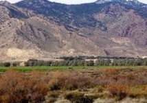 Quatorze soldats tunisiens victimes d’une attaque "terroriste" sur le mont Chaambi Quatorze soldats tunisiens victimes d’une attaque "terroriste" sur le mont Chaambi