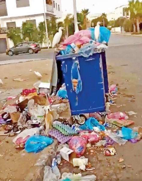 Le problème hygiénique de nos villes demeure le parent pauvre de nos décideurs !