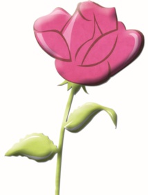 Réunion des secrétaires régionaux et provinciaux… Réunion des secrétaires régionaux et provinciaux…