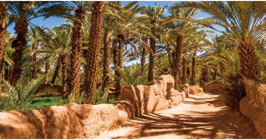 Action climatique: 78 milliards de dollars d’investissements nécessaires pour le Maroc d’ici 2050 Action climatique: 78 milliards de dollars d’investissements nécessaires pour le Maroc d’ici 2050
