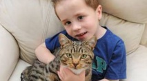 Insolite : Un enfant  sauvé par  son chat