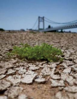 Les canicules pourraient tuer 90.000 Européens par an d'ici 2100