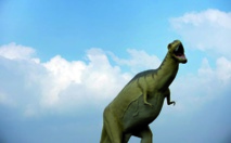 Des traces de pas révèlent l'instinct grégaire des tyrannosaures Des traces de pas révèlent l'instinct grégaire des tyrannosaures