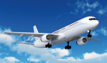 Apprendre aux avions à gonfler leurs ailes comme les oiseaux Apprendre aux avions à gonfler leurs ailes comme les oiseaux