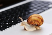Il n'y a pas que dans le plus beau pays que le web est lent