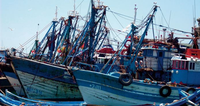 Les pêches côtière et traditionnelle broient du noir