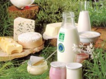 Les produits laitiers pourraient protéger du diabète Les produits laitiers pourraient protéger du diabète