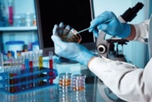 Un vaccin prometteur contre le chikungunya testé chez l'homme Un vaccin prometteur contre le chikungunya testé chez l'homme