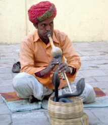 L'Inde des charmeurs de serpents appartient au passé L'Inde des charmeurs de serpents appartient au passé
