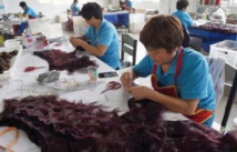 Perruques et postiches, le filon du cheveu chinois, exporté dans le monde entier Perruques et postiches, le filon du cheveu chinois, exporté dans le monde entier