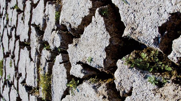 La crise climatique est aussi une crise sanitaire La crise climatique est aussi une crise sanitaire