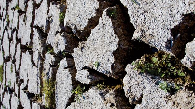 La crise climatique est aussi une crise sanitaire