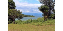 L’île rwandaise d’Iwawa, centre de désintoxication modèle ou de rééducation des asociaux ? L’île rwandaise d’Iwawa, centre de désintoxication modèle ou de rééducation des asociaux ?