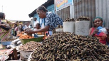 A Kinshasa, on croque chenilles ou larves pour le plaisir ou leurs protéines