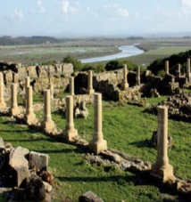 Première édition des Journées de l'archéologie à Larache Première édition des Journées de l'archéologie à Larache
